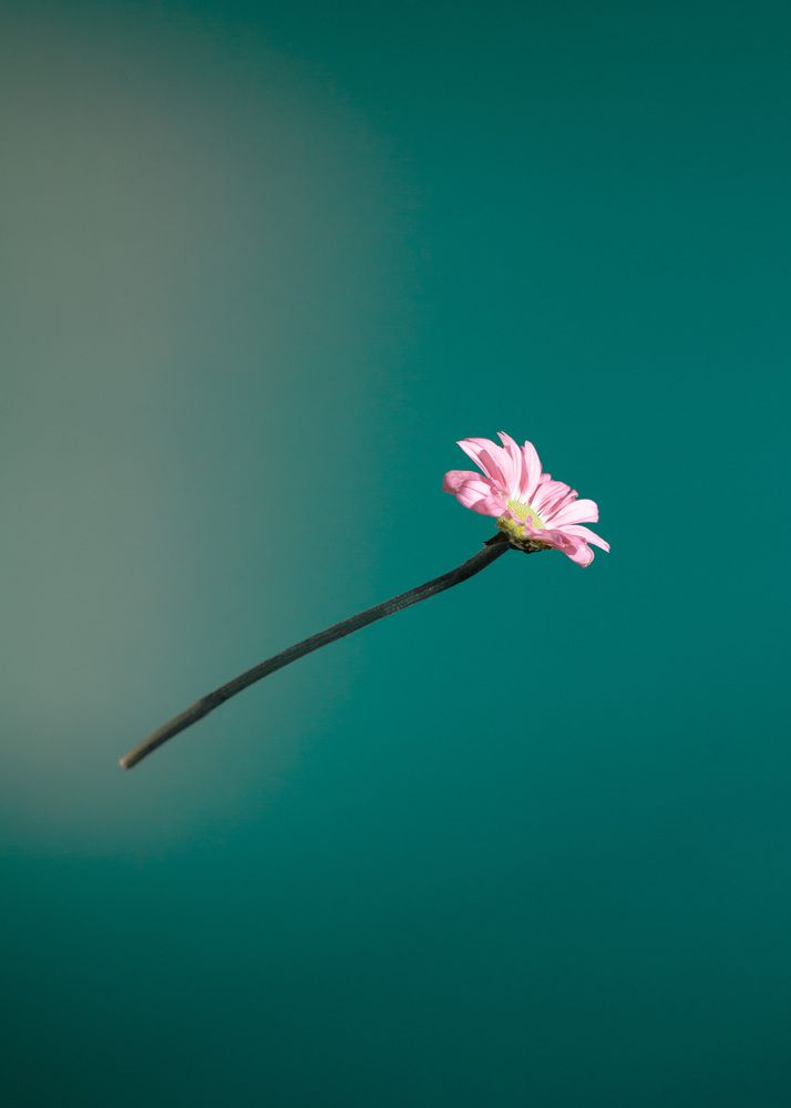 Photograph by Анна Брагина