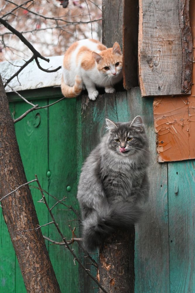 Photograph by Tatiana Shtun
