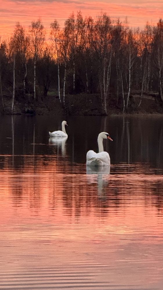Photograph by Маргарита Вербовикова