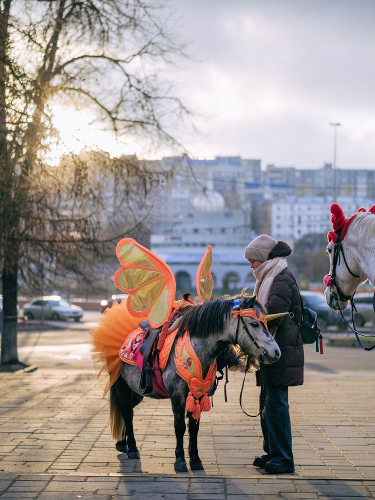 Photograph by Кирилл Соколов