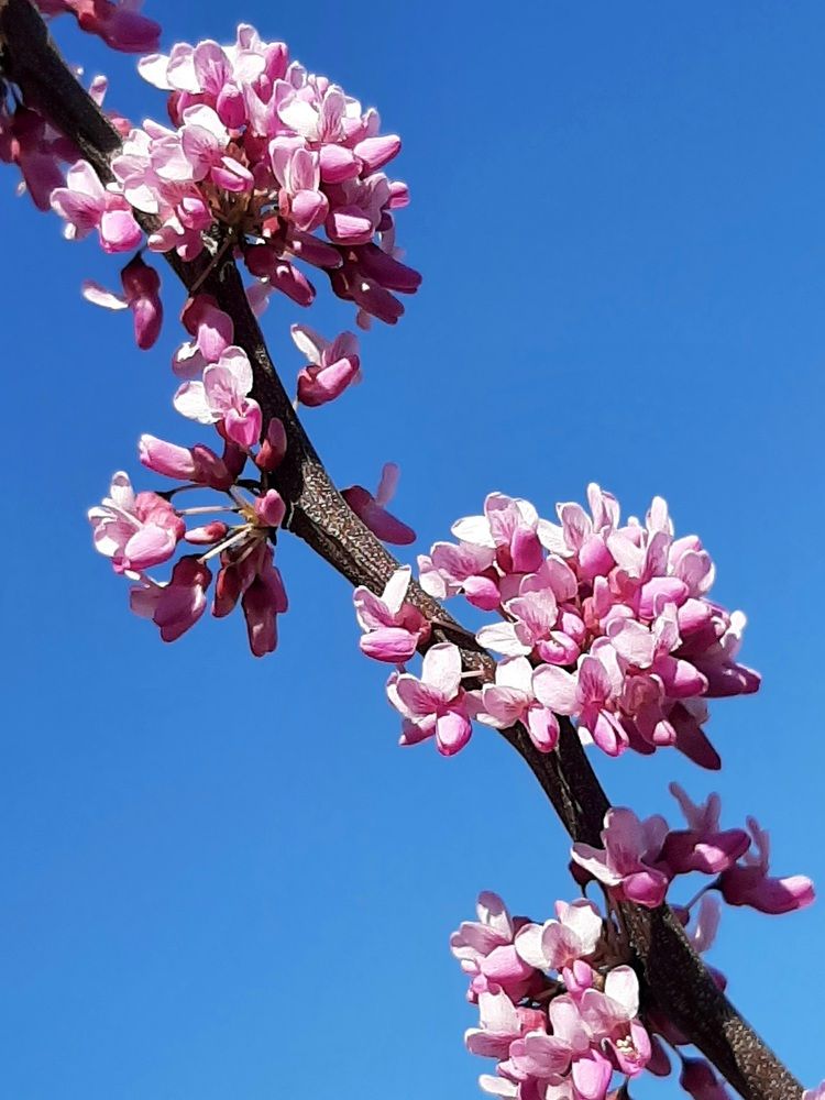 Фотография автора Наталья Гаврилова