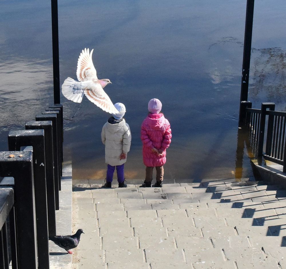 Добрый знак