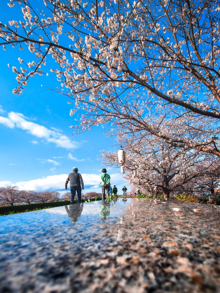 Фотография автора Uesan Aliace