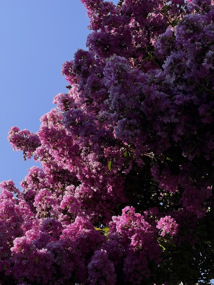 Фотография автора Полина Ишкина