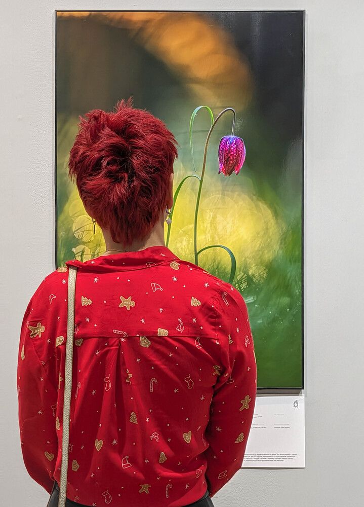 Photograph by Алексей Худяков