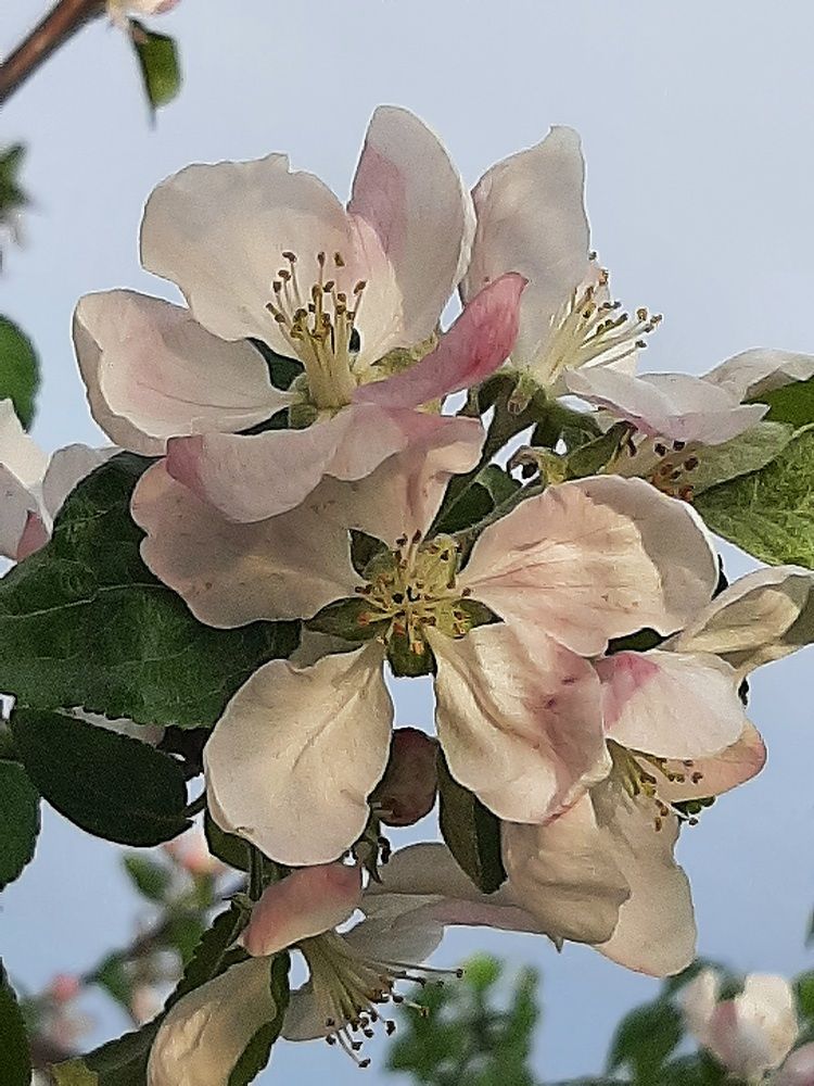 Фотография автора Наталья Гаврилова