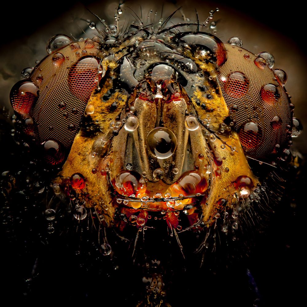 Photograph by Derek Moorse