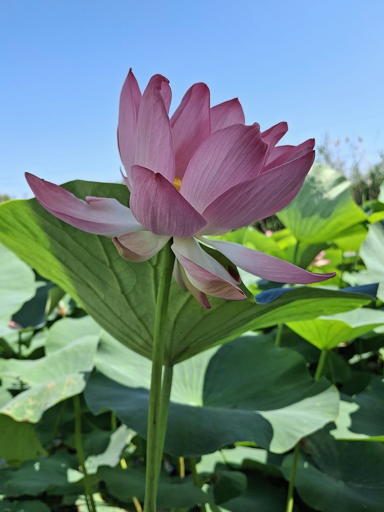 Фотография автора Наталья Гаврилова