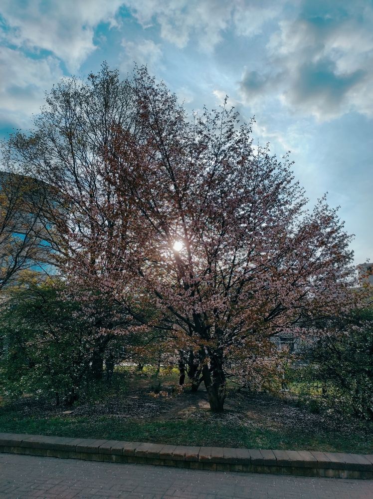 Photograph by Осадчая Анна