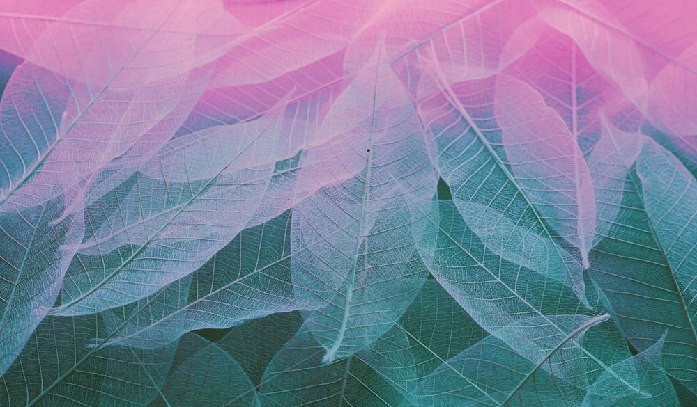 Photograph by Татьяна Рудковская