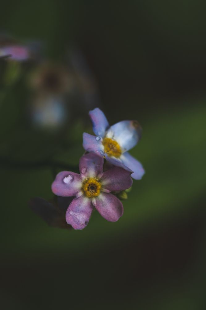 Фотография автора Войнов Дмитрий
