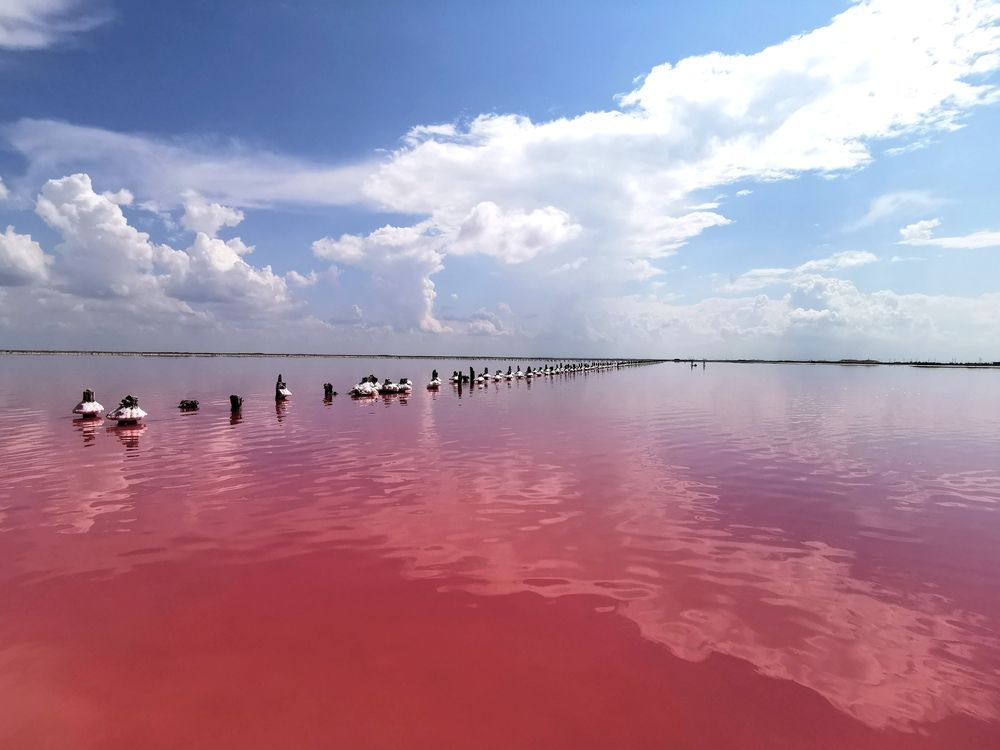 Фотография автора Ольга