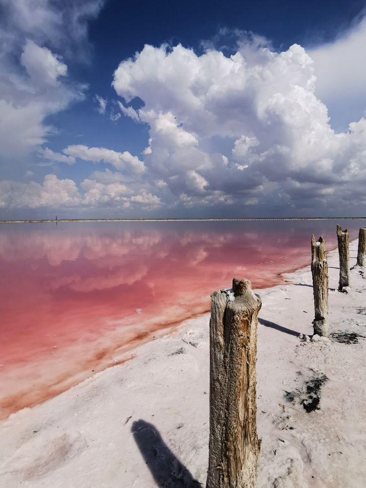 Фотография автора Ольга