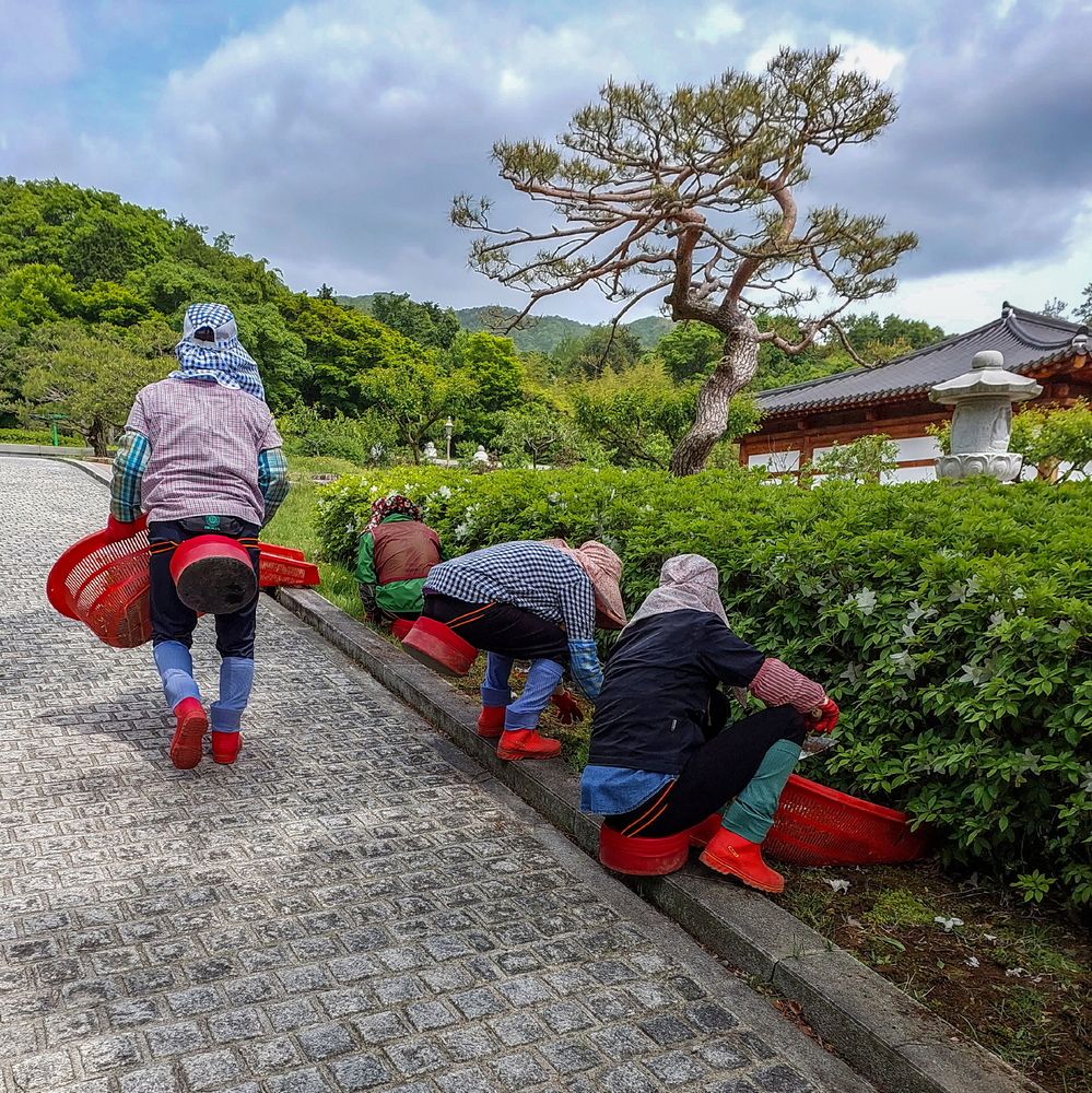 Photograph by Борис Лишневский