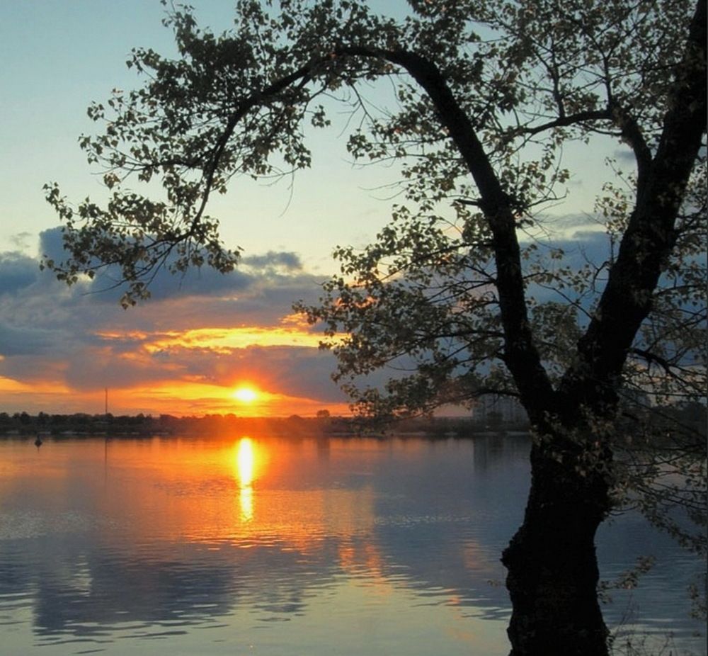 Photograph by Михаил Свиденцов