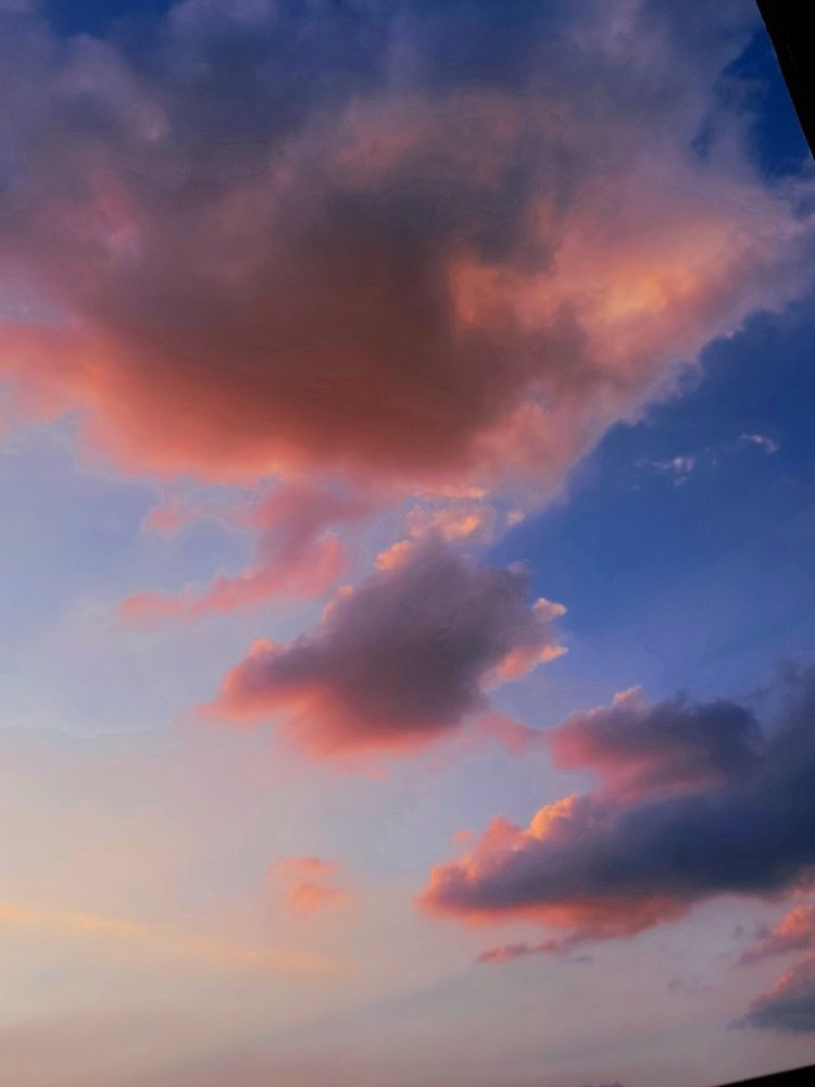 Photograph by Soha Hossam