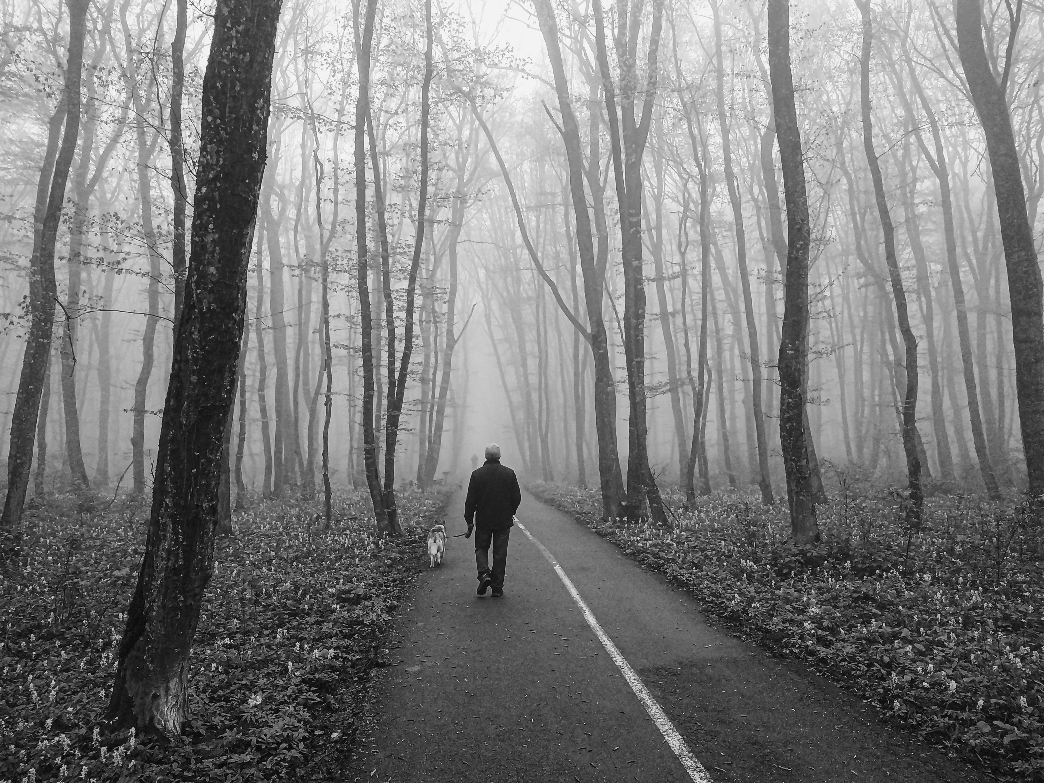 Photograph by Виталий Маслов