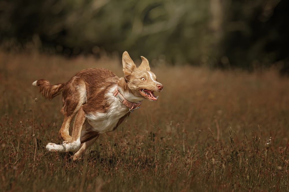 Photograph by Tim Jones