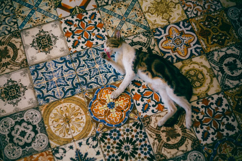 Фотография автора Senturk Selman