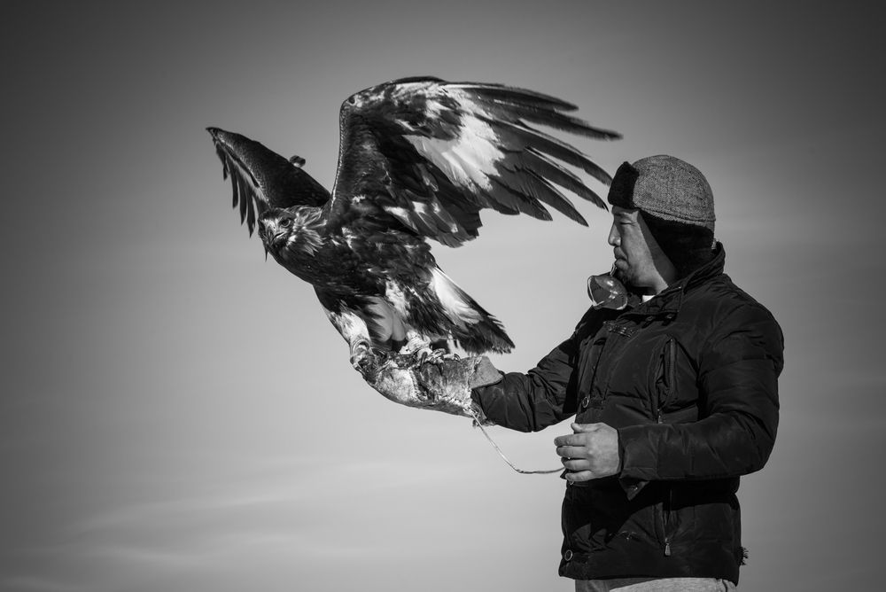 Photograph by Максим Рожин