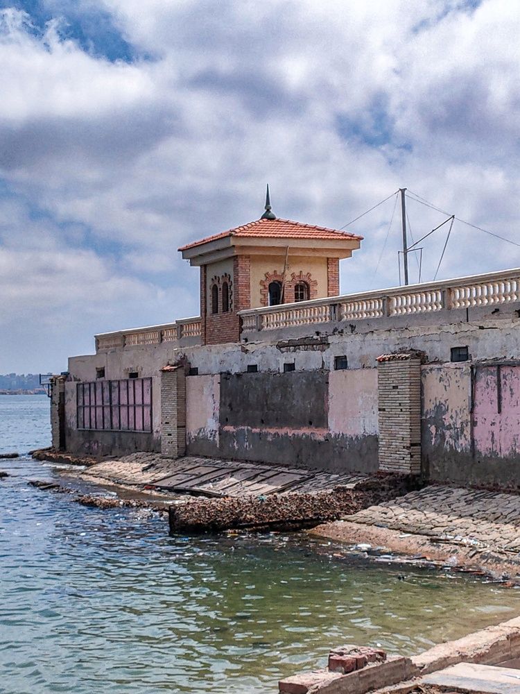 Фотография автора Sara Attia