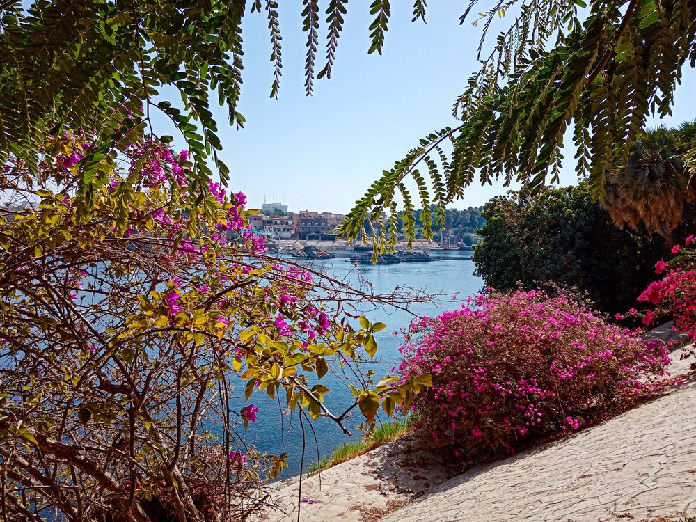 Фотография автора Sara Attia