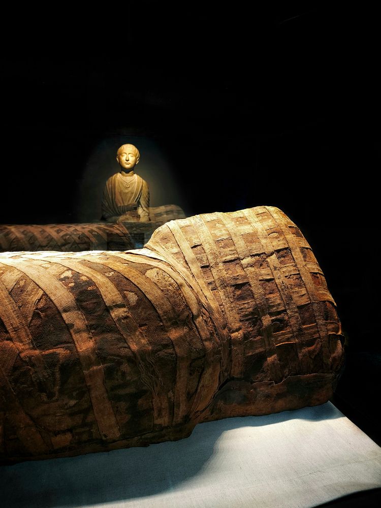 Фотография автора Sara Attia