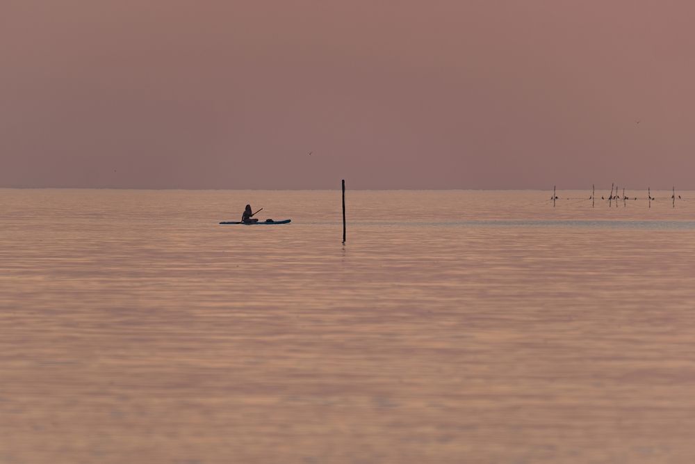 Photograph by Михаил Косолапов