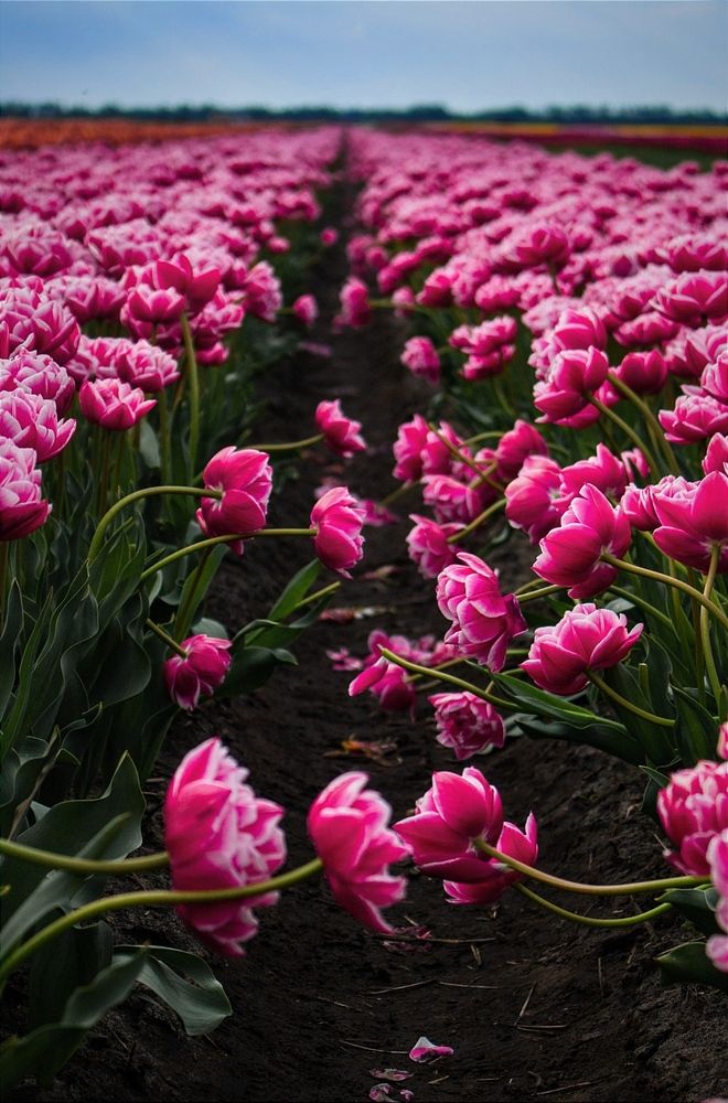 Фотография автора Виктория Трущенко