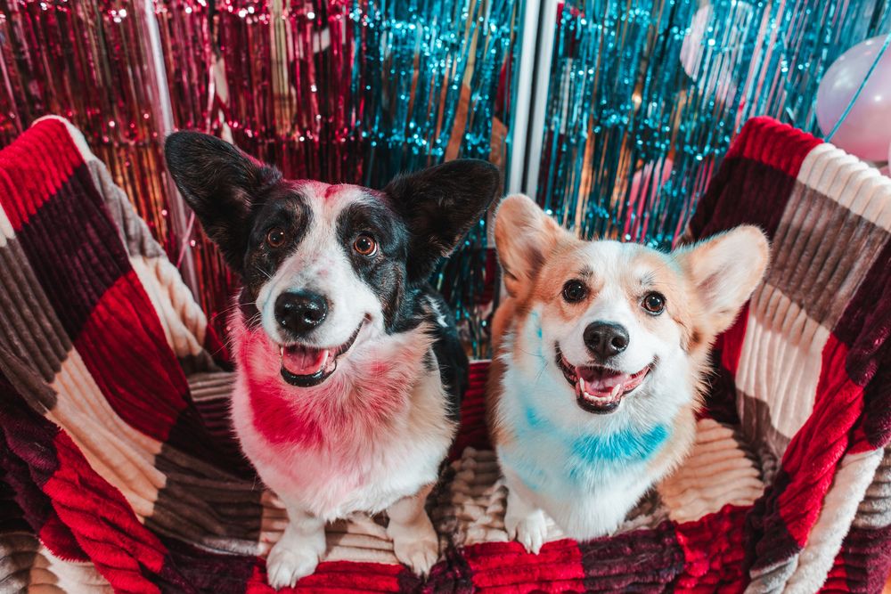 Photograph by Алексей Чеботарев