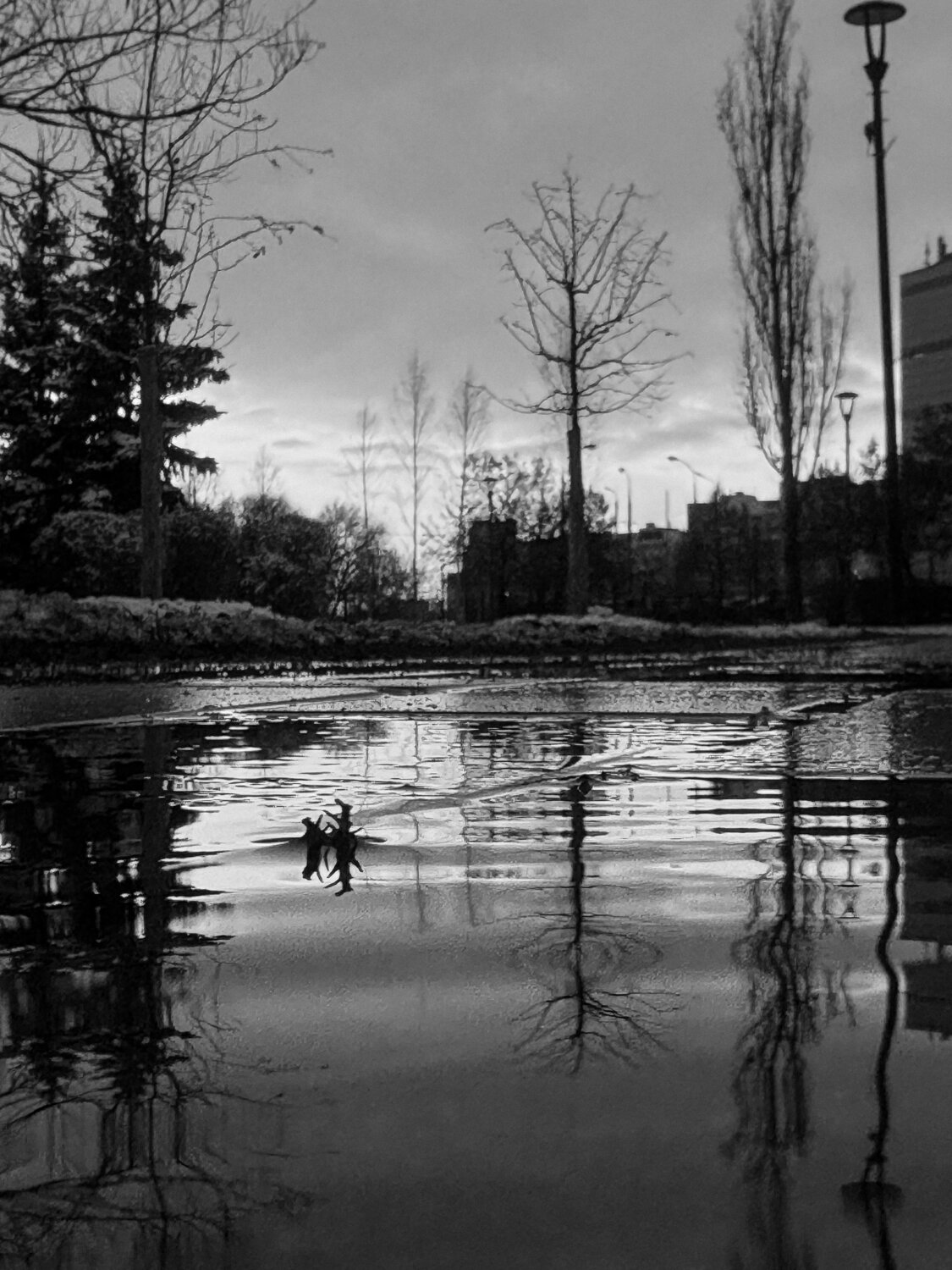 Photo #12865902