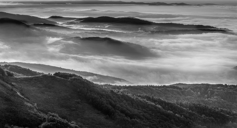Photograph by Budyta Dariusz