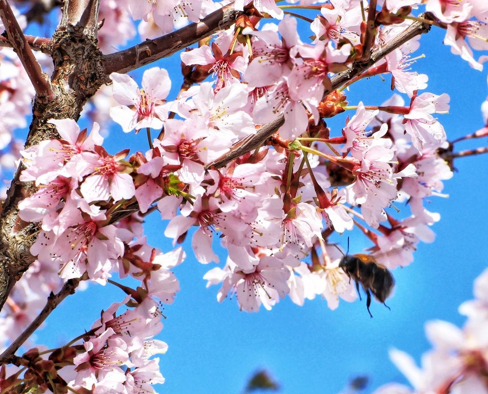 Photograph by Olga Asson