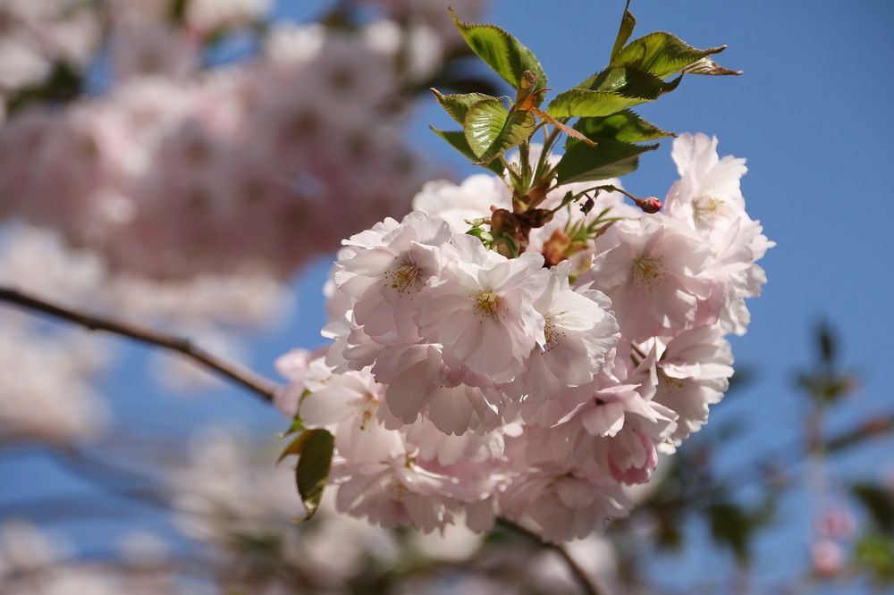 Photograph by Юрий Чистяков