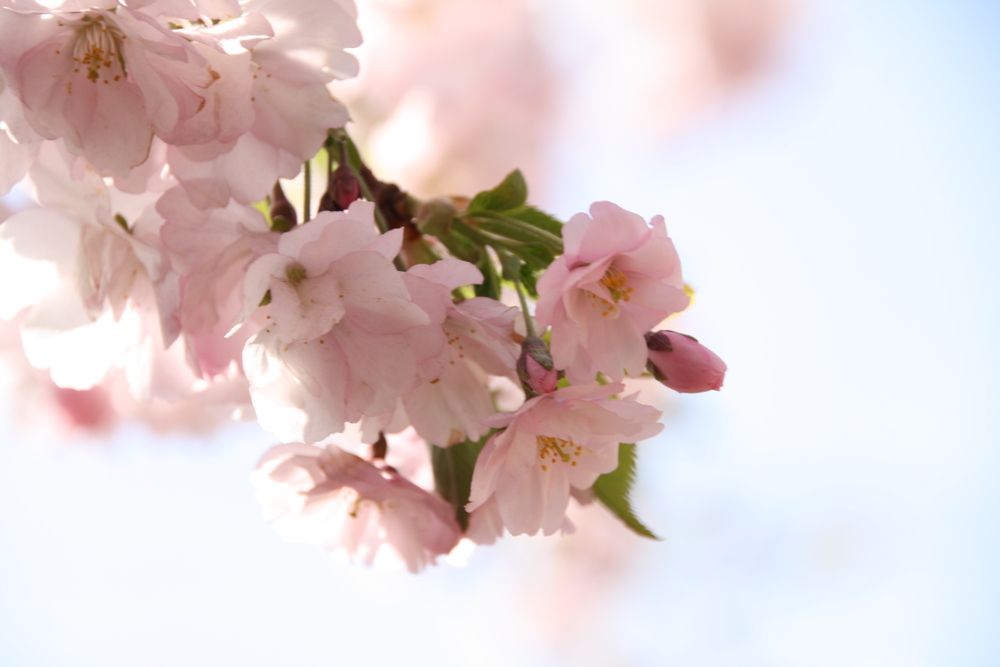 Photograph by Юрий Чистяков