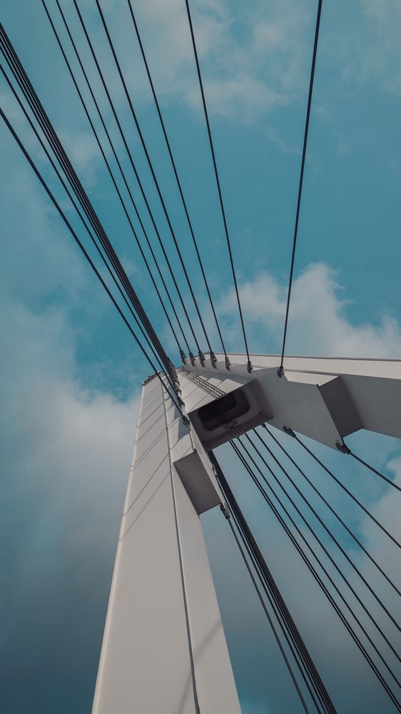 Фотография автора Юлия Киш