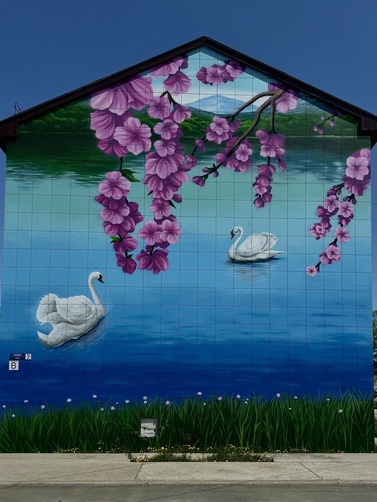 Фотография автора Елена Меньшикова