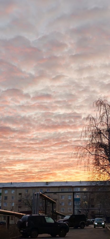 Photo #12866101