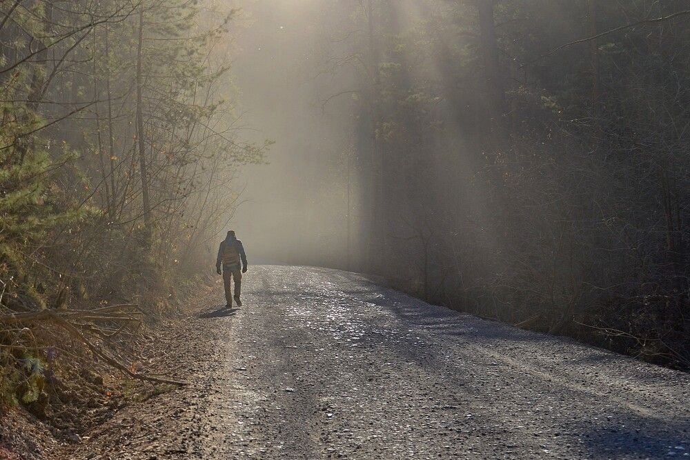 Photograph by Людмила