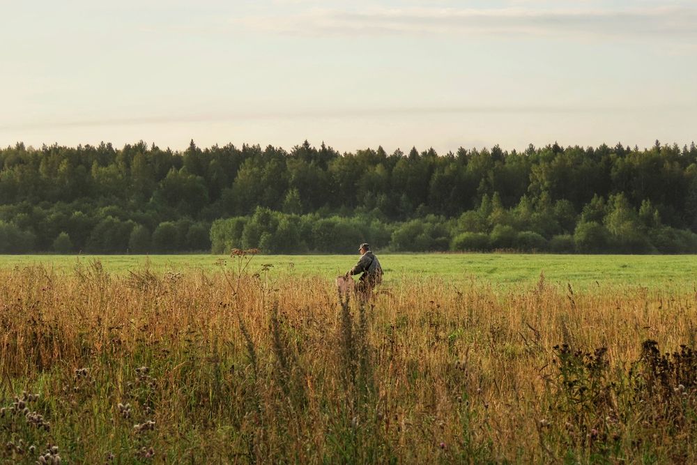 Фотография автора Екатерина Солохина