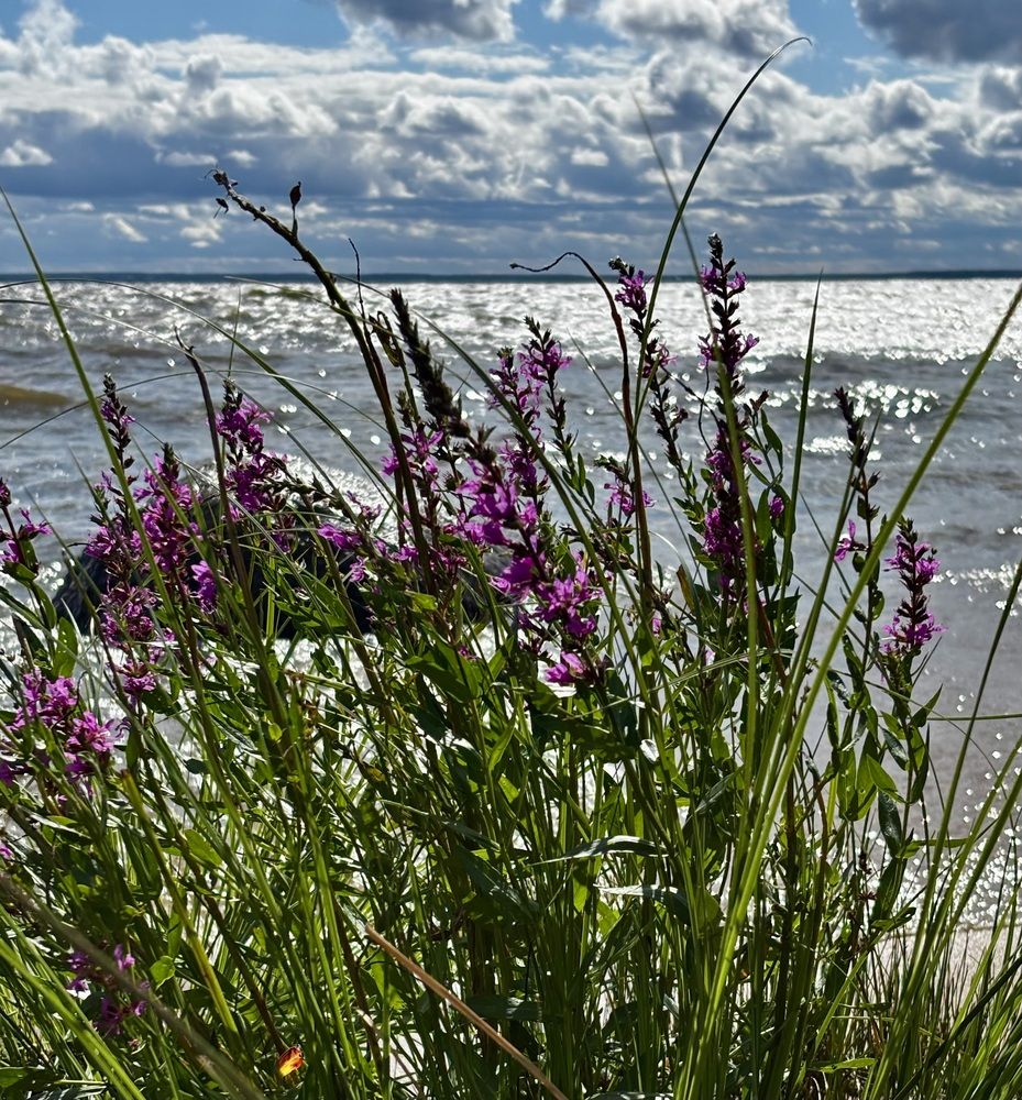 Фотография автора Galina