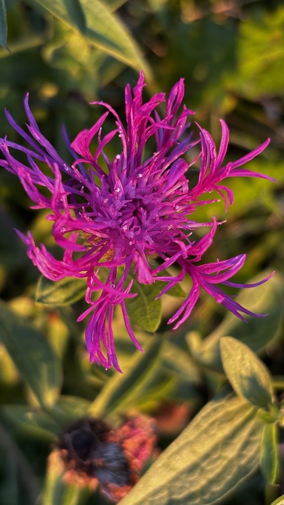 Фотография автора Galina