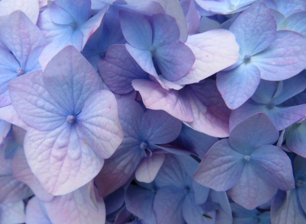 Photograph by Елена Кузина