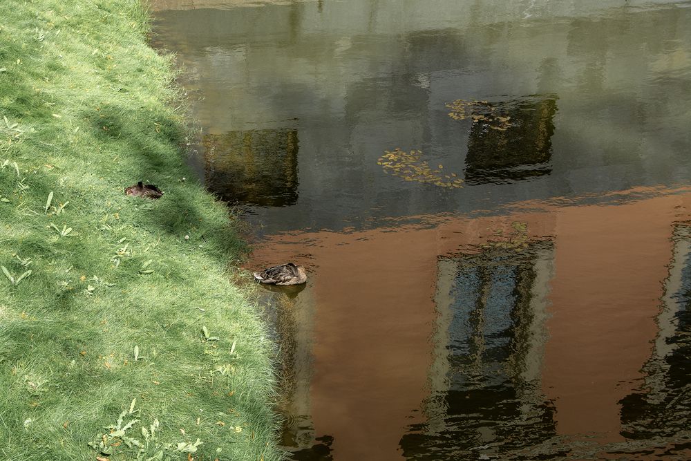 Фотография автора Анатолий Мацеля