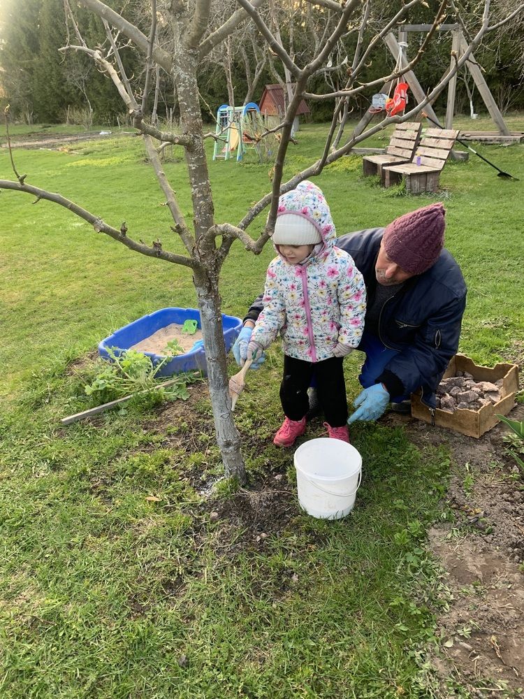 Photograph by Елена