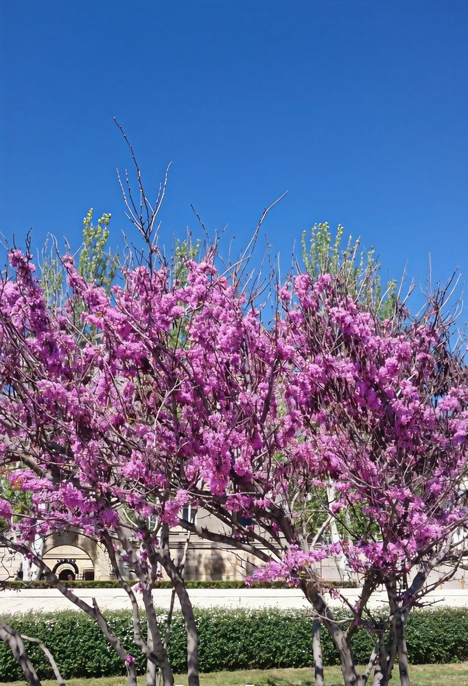 Photograph by Юлия Холомцева