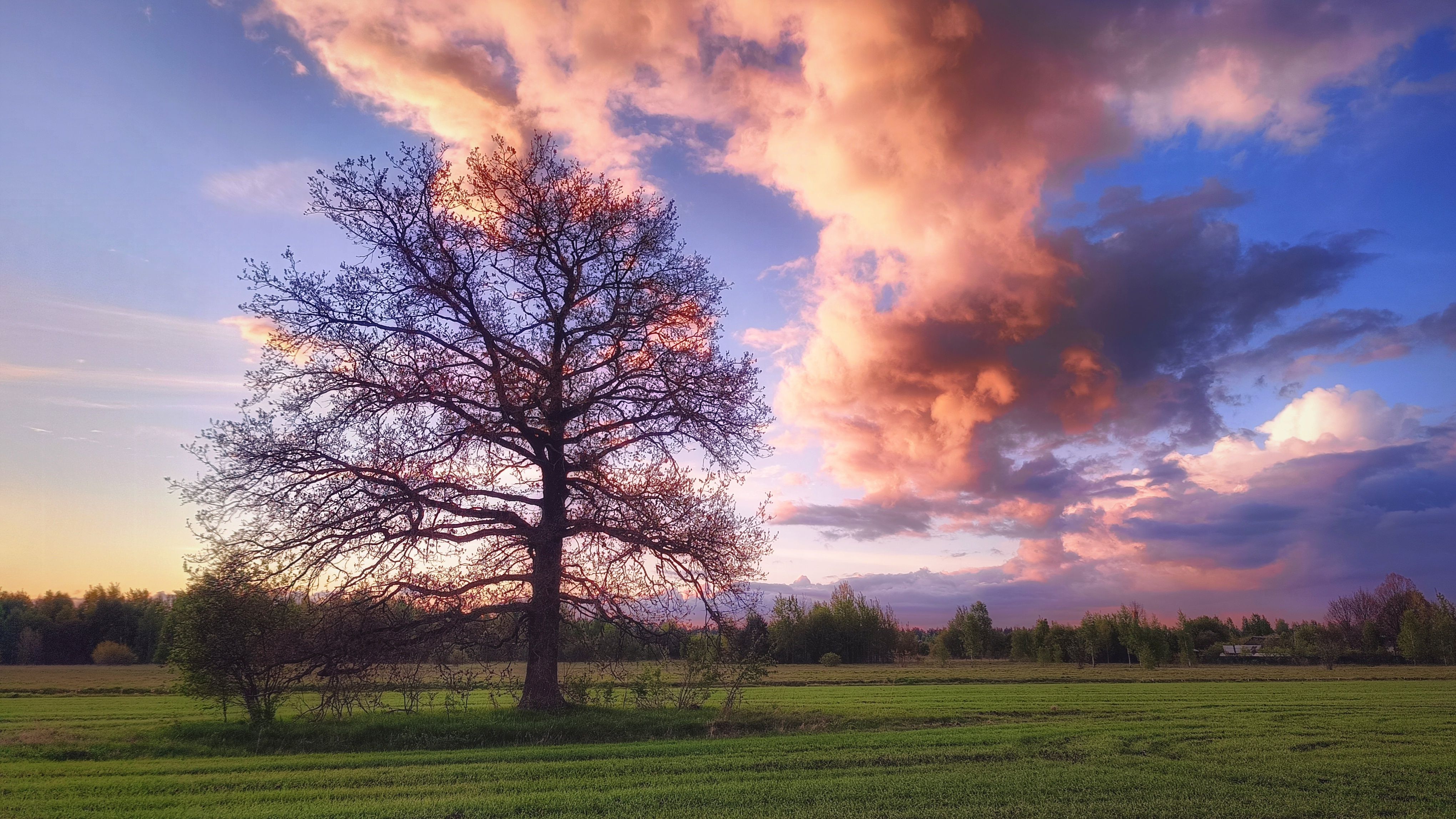 Photograph by Leanid Kulpo