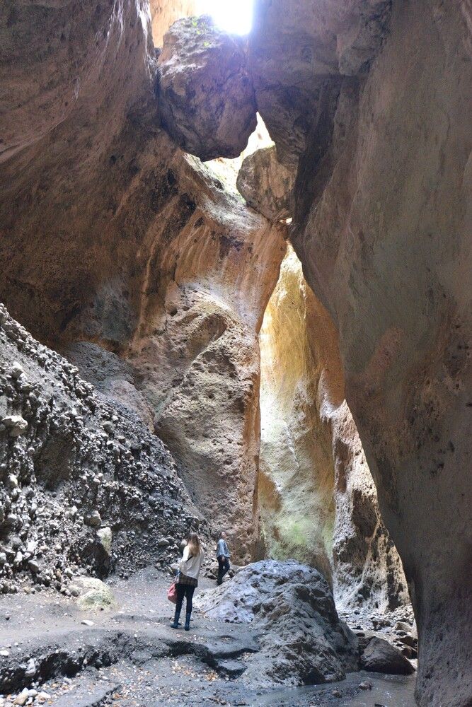 Фотография автора галина лапшина