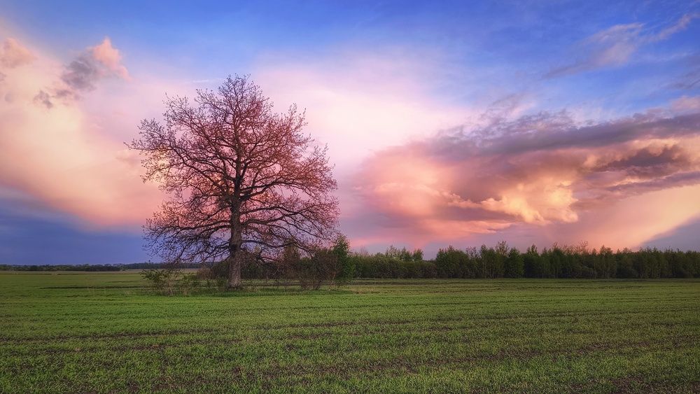 Photograph by Leanid Kulpo