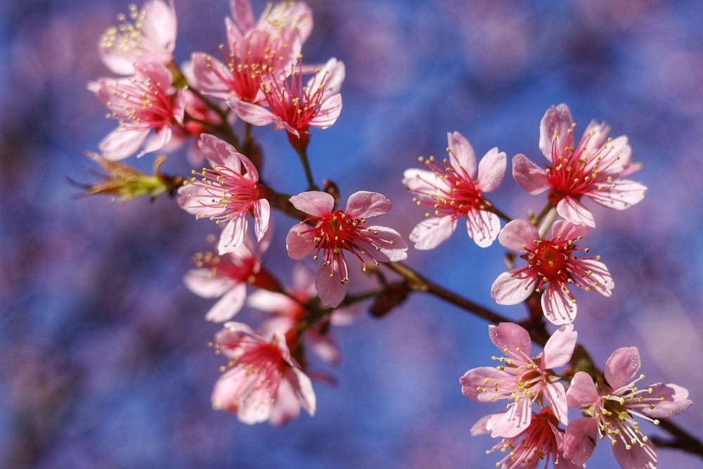 Photograph by Uyen Ha Phuong